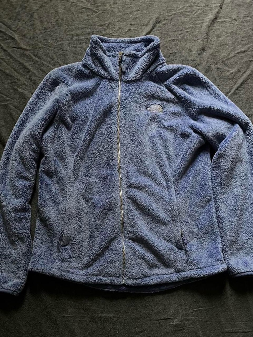 The North Face blue sherpa fleece women’s jacket
